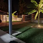 Sunny Garden
