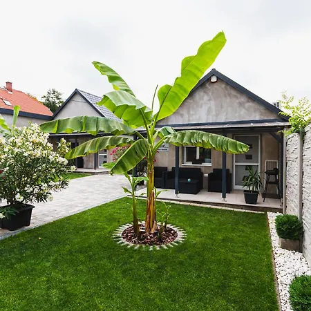 Sunny Garden *